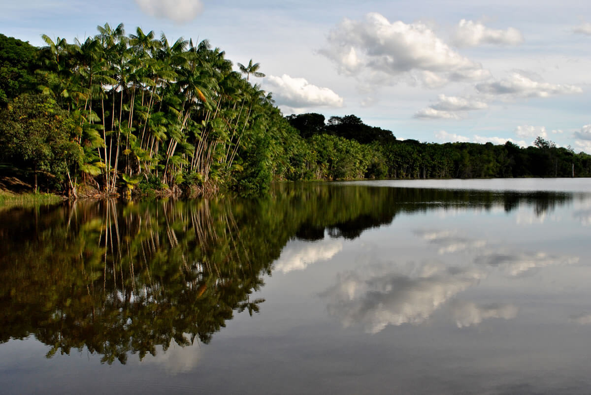 Discovery Coast Atlantic Forest Reserves (Brazil) | LAC Geo