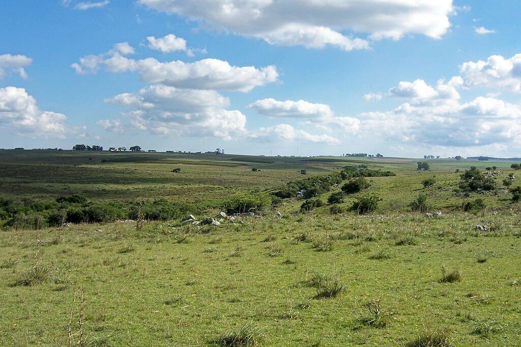 The Pampas: South America's Verdant Canvas  LAC Geo