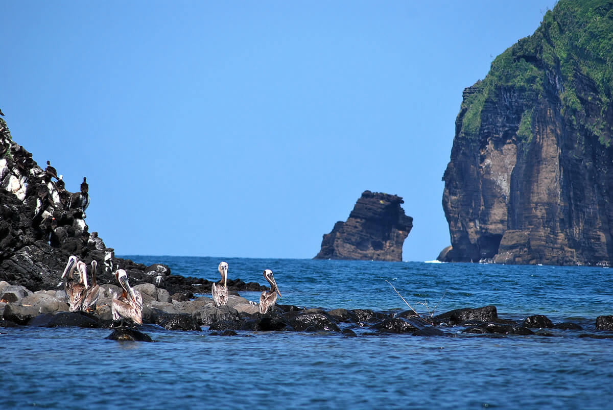 punta_roca_partida_opt%20(1).jpg