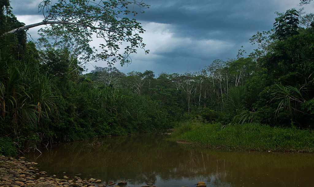 Madidi National Park: Bolivia's Biodiversity Oasis | LAC Geo