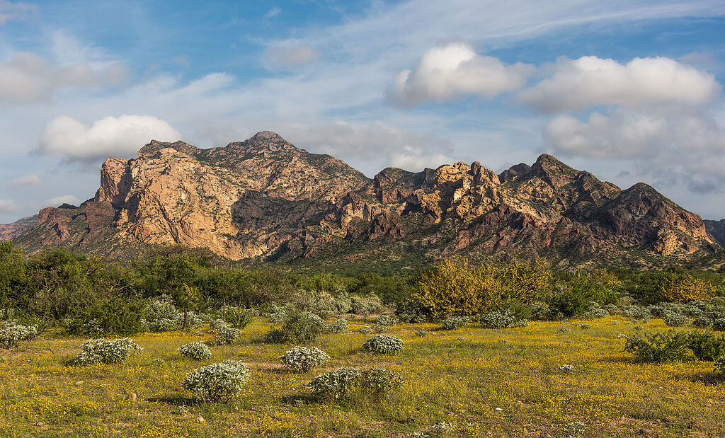 Sonoran Desert Mountains