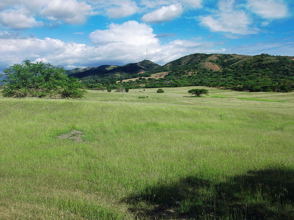 Puerto Rico's Ecoregions: A Tapestry of Life | LAC Geo