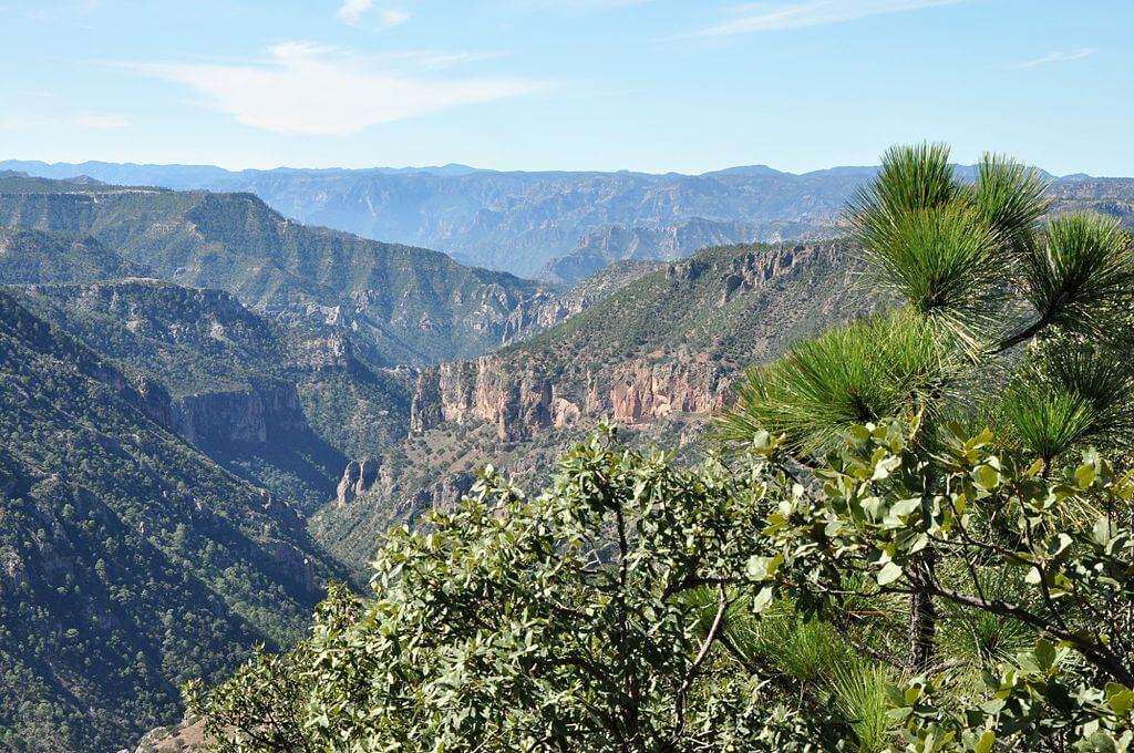 The Sierra Madre: Mexico's Magnificent Mountain Kingdom | LAC Geo