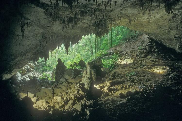 Entrance to Actun Kabal, Chiquibul Cave Sytem, Belize