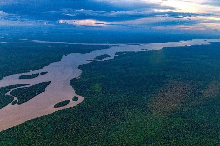Aerial view of the Essequibo River, Guyana