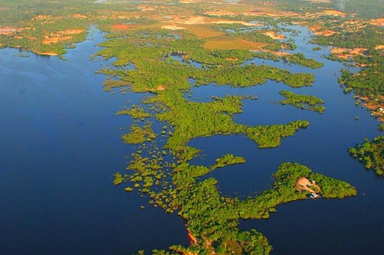 Aerial panorama of the Río Negro over the Amazon rainforest
