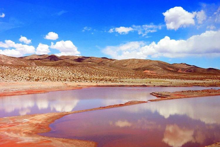 Altiplano landscape Argentina/Chile