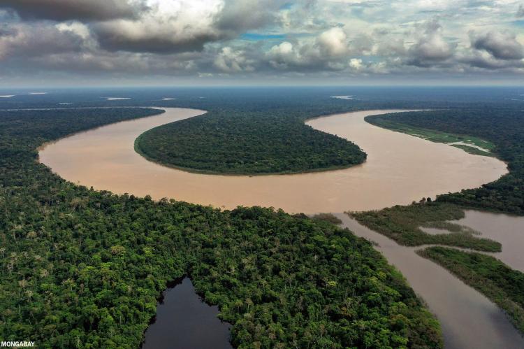 The Javari River where it forms the border between Brazil and Peru. Photo credit: Rhett A. Butler