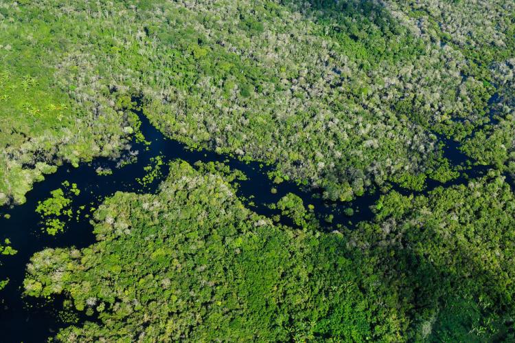 Aerial view of the Amazon Rainforest, near Manaus, the capital of the Brazilian state of Amazonas, Brazil