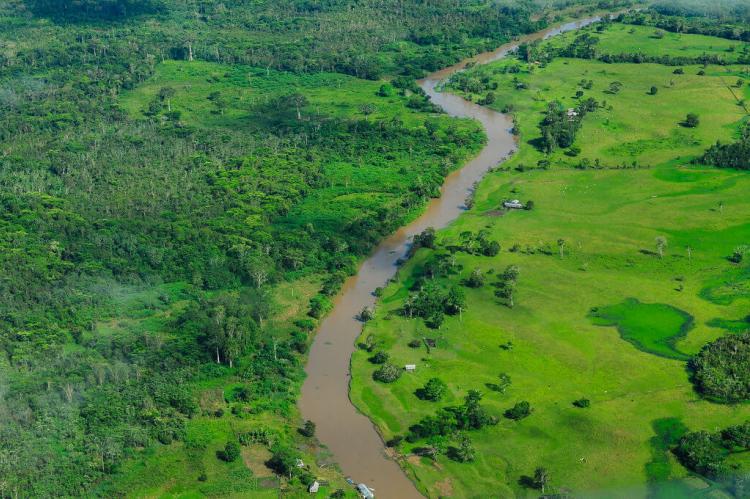 Aerial view of the Amazon Rainforest, Amazonas, Brazil
