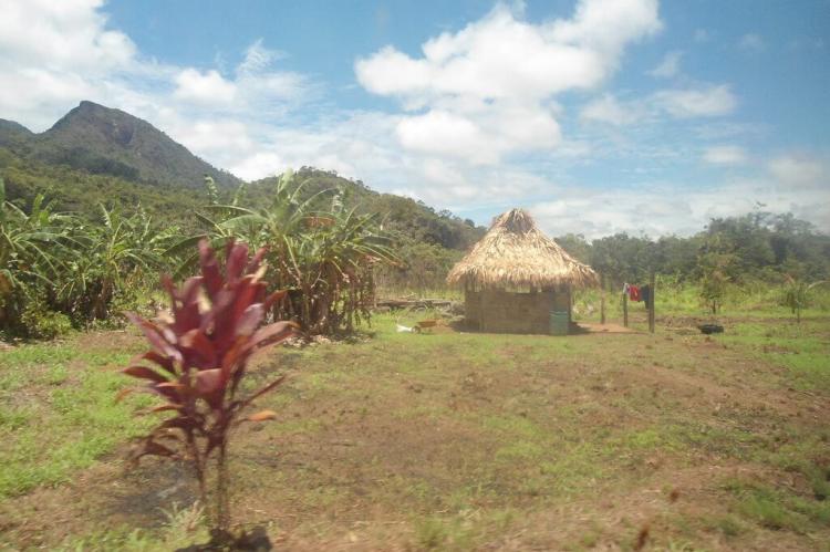 Amerindian hut, Moco Moco, Southern Rupununi, Guyana