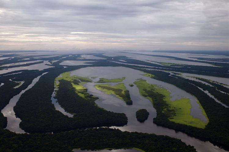 Central Amazon Conservation Complex & Reserve | LAC Geo