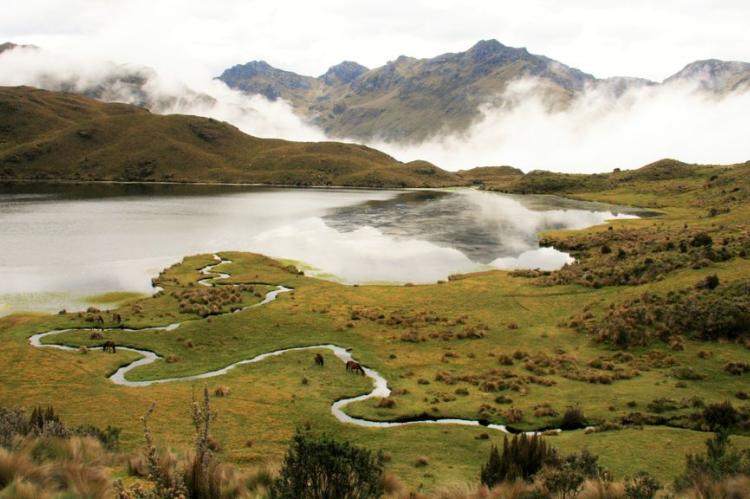 Andean páramo in Ecuador