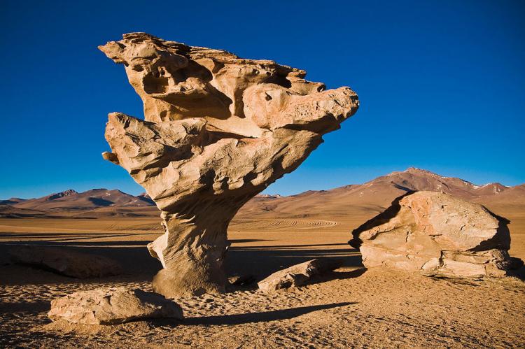 The Arbol de Piedra (Stone Tree) — a volcanic rock formation in the Desierto Siloli in Bolivia