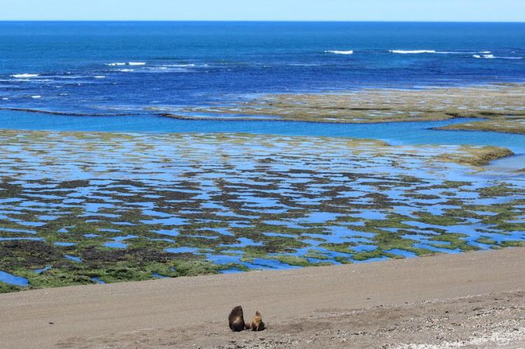 Peninsula Valdés, Puerto Madryn, Argentina
