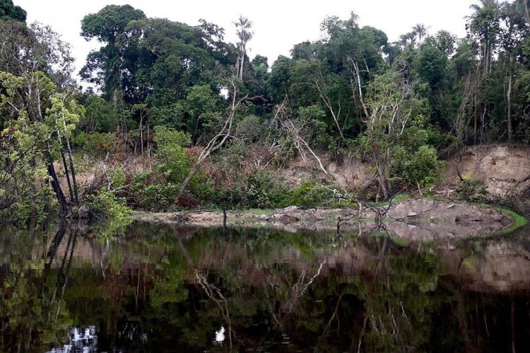 Anavilhanas National Park at Rio Negro, state of Amazonas, Brazil