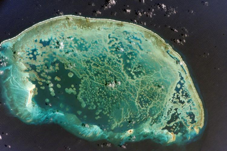 NASA image of Arrecife Alacranes (Scorpion Reef), Gulf of Mexico