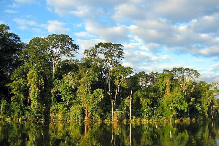 Atlantic Forest in Paraguay