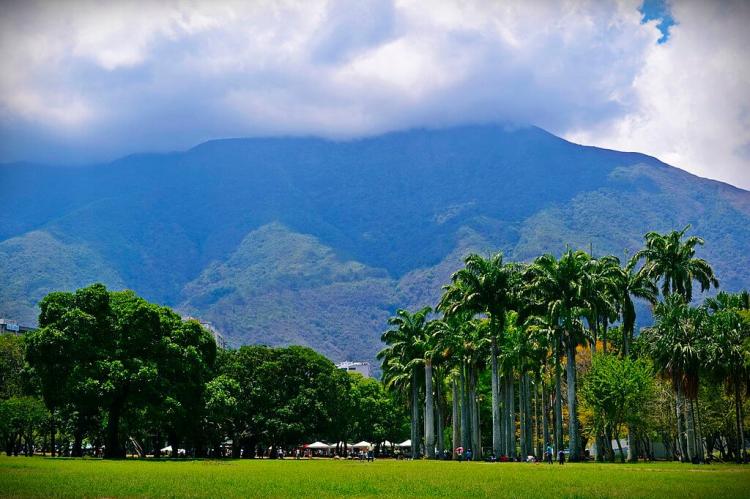 View of El Avila from Parque del Este, Venezuela