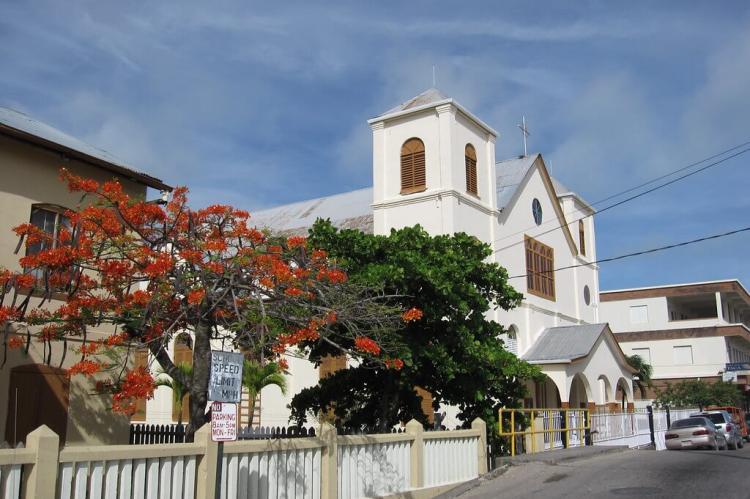 Colorful tree and a white church in Belize City