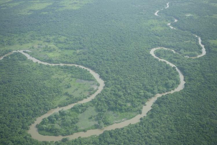 Aerial view of the Belize River, Belize District