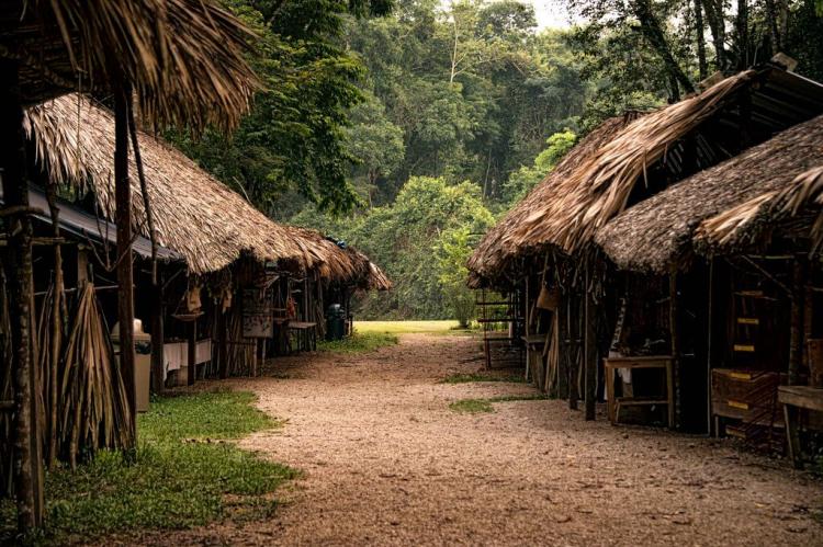 Village huts, Bonampak, Chiapas, Mexico