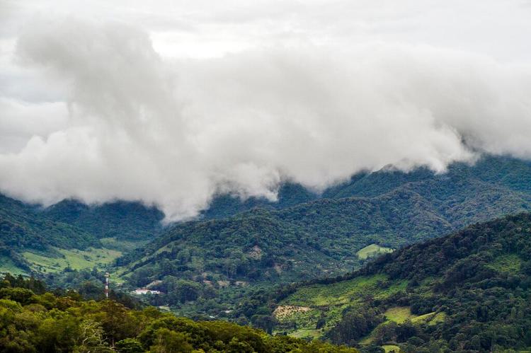 Boquete cloud forest, Boquete, Panama