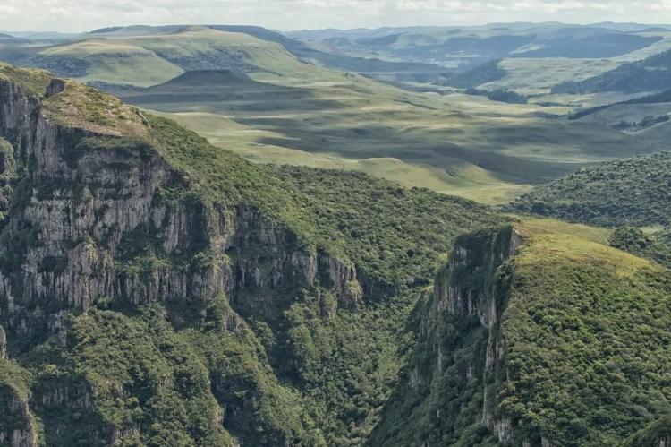 Brazilian Highlands: Parque Nacional de São Joaquim
