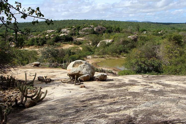 Caatinga landscape, Brazil