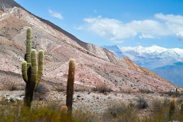 Northwestern Argentina landscape with cacti and Andes Mountains