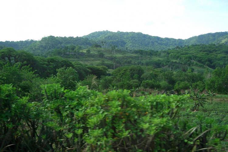 Buenavista Biosphere Reserve, Cuba