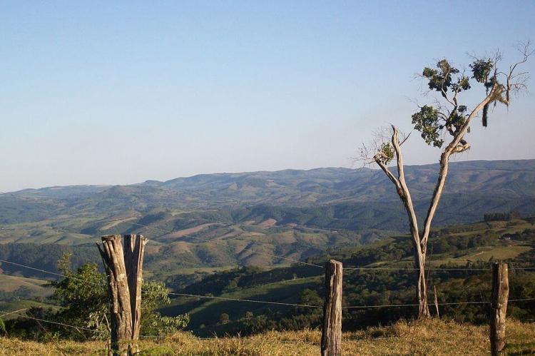 Typical landscape of Campos Gerais - native vegetation and agriculture, Reserva, Paraná, Brazil