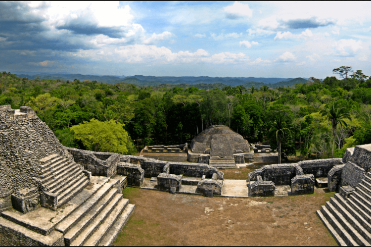 Panorama from atop Caracol, Belize 