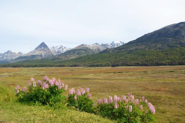 Carbajal Valley, Tierra del Fuego, Argentina