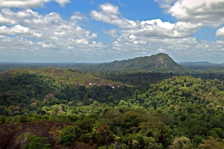 View of Mt. Volzburg, Suriname
