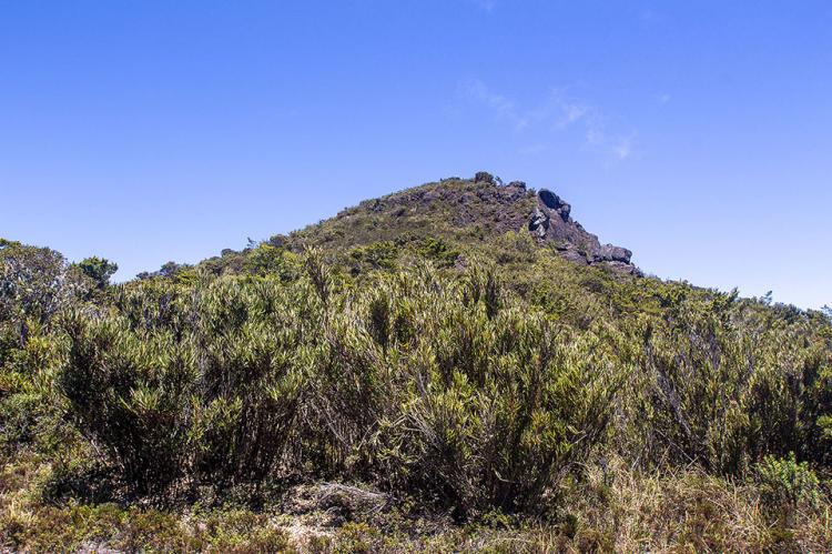 View of Cerro Asunción from Cerro de la Muerte, Tapantí - Macizo de la Muerte National Park, Copsta Rica