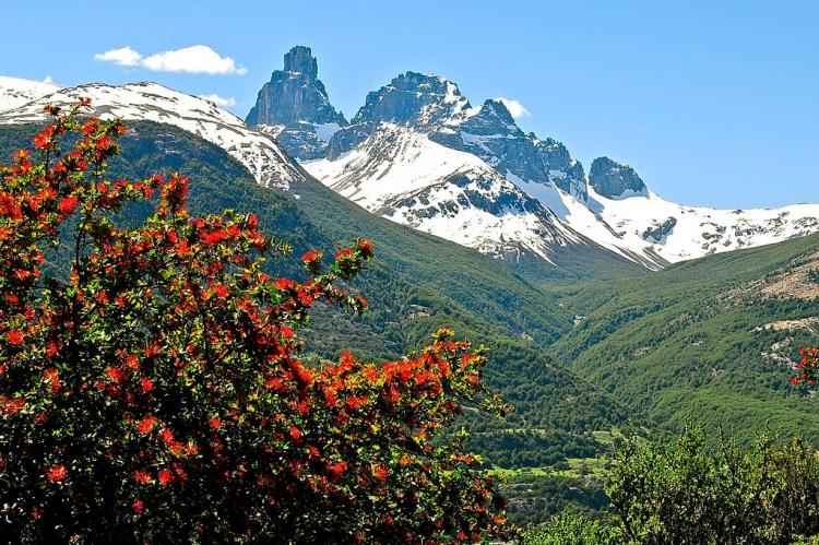 Peaks of the Cerro Castillo massif; in the foreground, a chilean firebush. Cerro Castillo National Park, Aysén, Chile