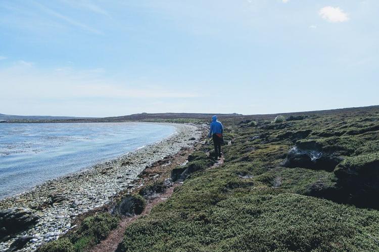 Trail by coastline, Tussac Point, Falkland Islands