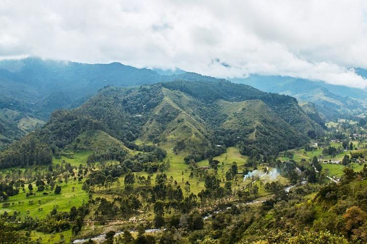 Coffee region landscape, Salento, Quindio, Colombia