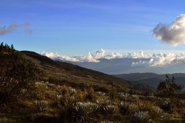 Páramo panorama, Cordillera Oriental, Colombia