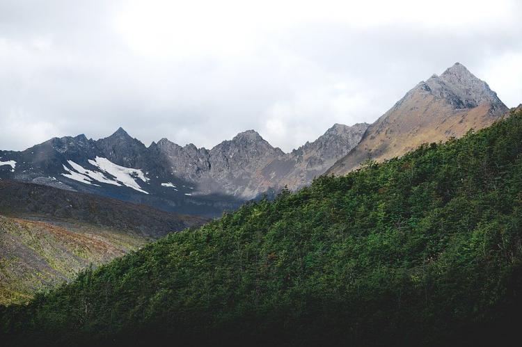 Cordillera Darwin, Yendegaia National Park, Chile