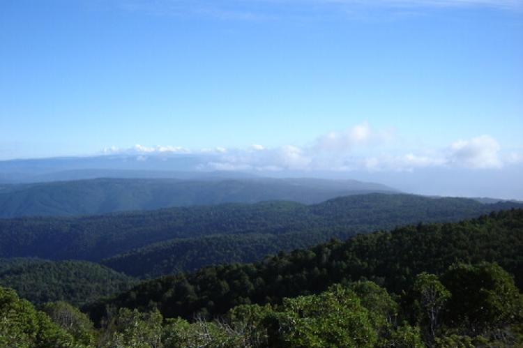 The Cordillera de la Costa (Chilean Coast Range) — seen from Oncol Peak, Los Ríos Region, Chile