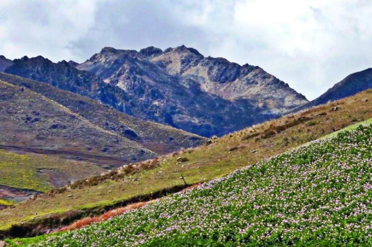 Cordillera de Mérida, Venezuela