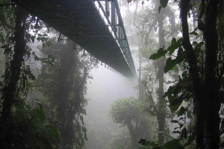 Suspension bridge in Puerto Viejo de Sarapiqui, Costa Rica