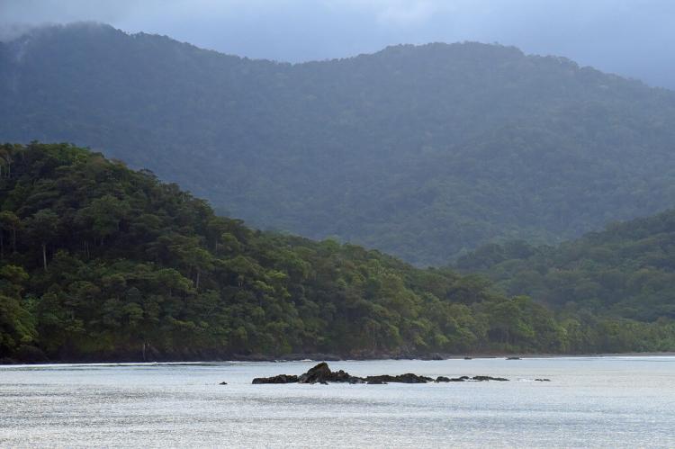 Darién National Park, Panama