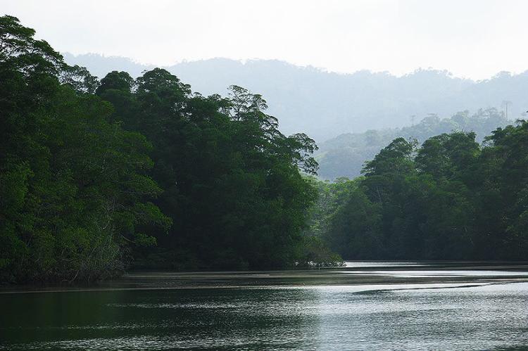 Indio River, Darién, Panama