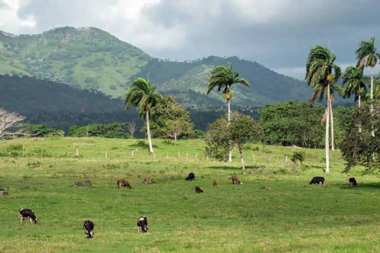 Dominican countryside, Hispaniola