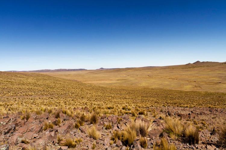 Dry Puna grassland panorama, Peru