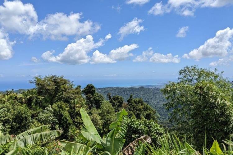 View to the Caribbean coast from El Yunque National Forest, Puerto Rico