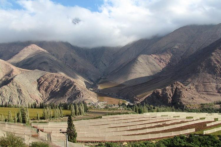The Enchanting Elqui Valley & Historic Pisco Elqui | LAC Geo